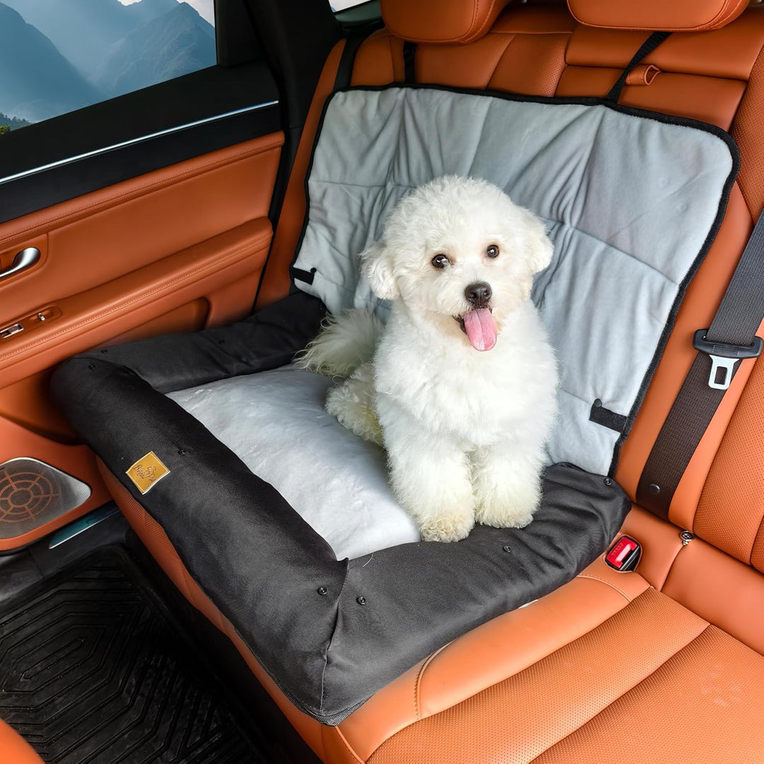 BingoPaw Hunde Autositz für grosse Hunde, 3-in-1 Verstärkter Autositz mit Befestigungsgurten, wasser