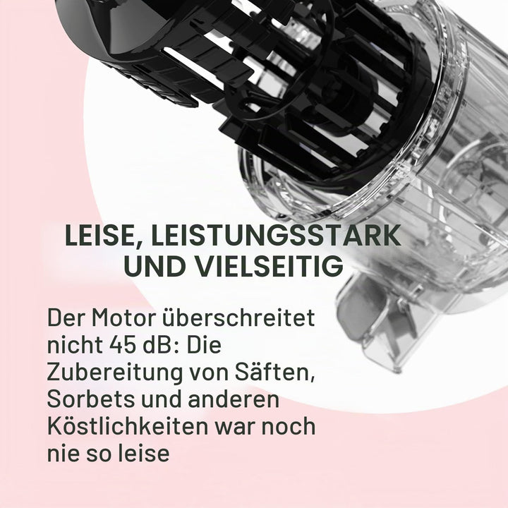 HUROM | Slow Juicer | Entsafter Gemüse und Obst | H310A | Elektrische Kaltpresse | Ruhiger Motor | L
