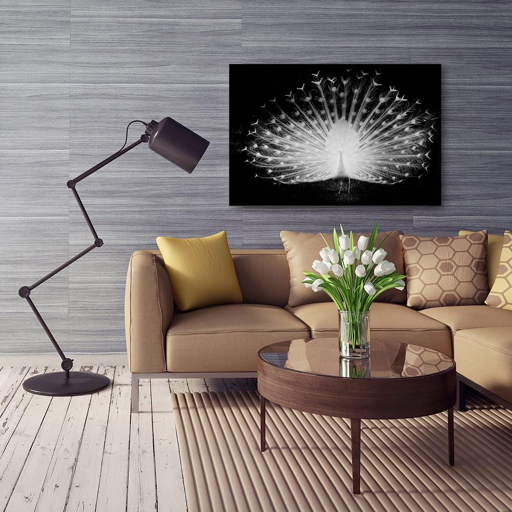 Feeby Frames, Leinwandbild, Bilder, Wand Bild, Wandbilder, Kunstdruck 70x100cm, NATUR, VOGEL, PFAU,