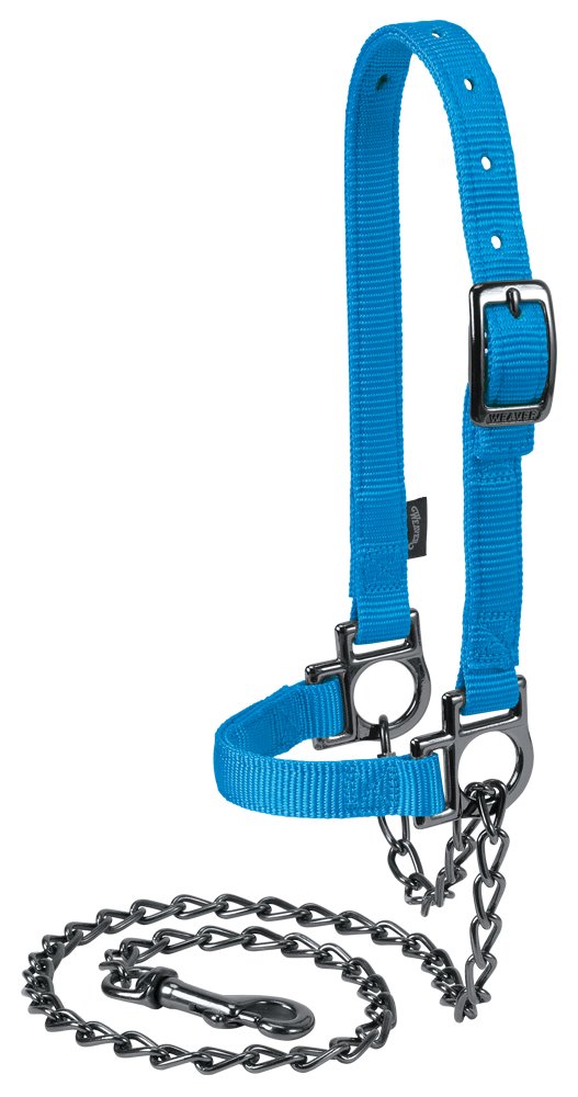 Weaver Schafhalfter aus Leder, Nylon, verstellbar, mit Kette Huricane Blue
