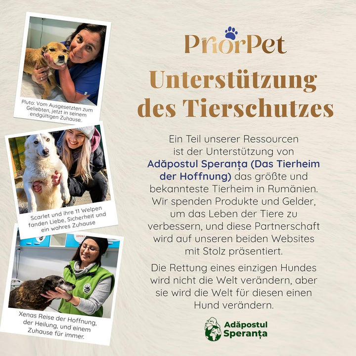 Hundetreppe Auto Klappbar - Hundetreppe Grosse Hunde für SUV - Leuchtende Leitmarkierung - Gelenksch
