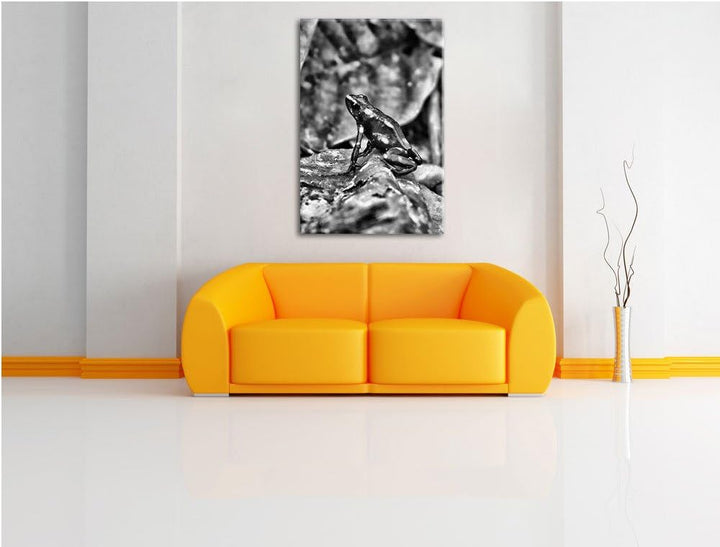 Pixxprint Baumsteiger Frosch als Leinwandbild/Grösse: 100x70 cm/Wandbild/Kunstdruck/fertig bespannt,
