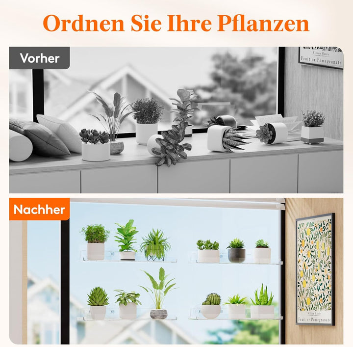 Lifewit Fenster Pflanzenregale, 2 Stück, 38cm, Transparent Regal Saugnapf, Fensterwand-Pflanzenständ