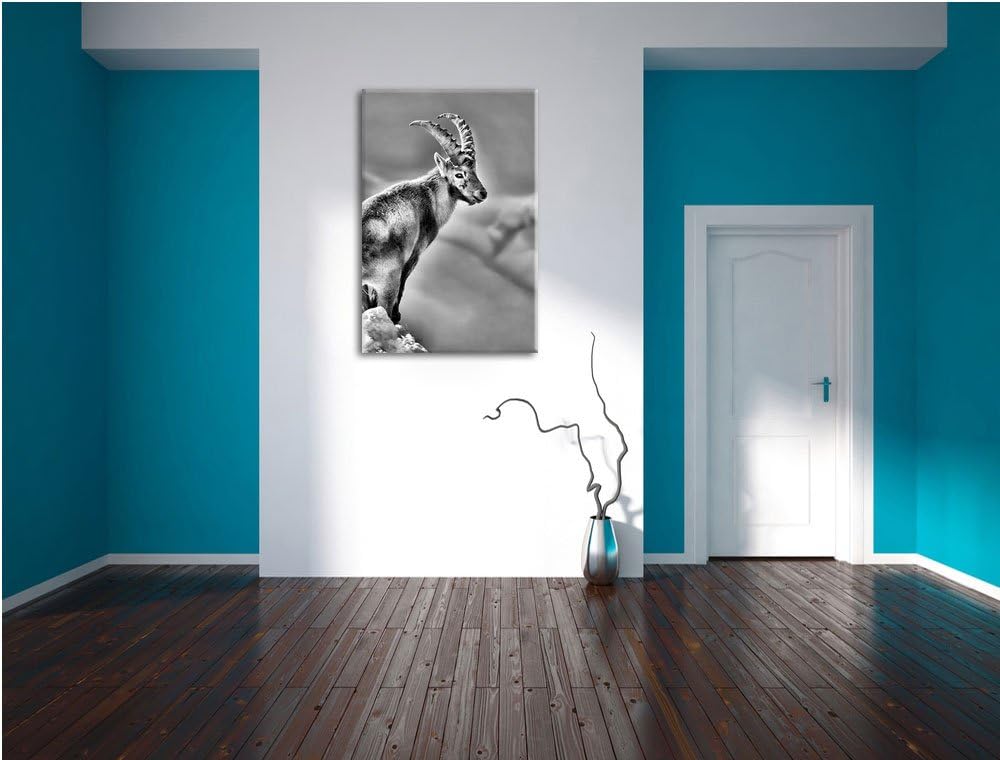 Pixxprint Steinbock im Schnee als Leinwandbild/Grösse: 100x70 / Wandbild/Kunstdruck/fertig bespannt,
