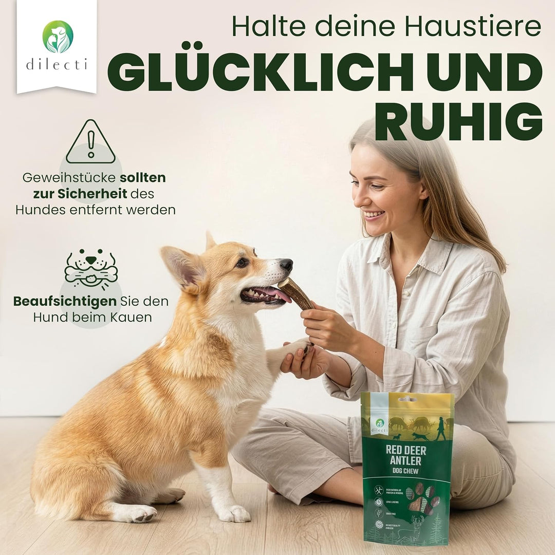 Hirschgeweih für Hunde - Die Robuste Geweihstange als Kauspielzeug. EIN Widerstandsfähiger Kauknoche