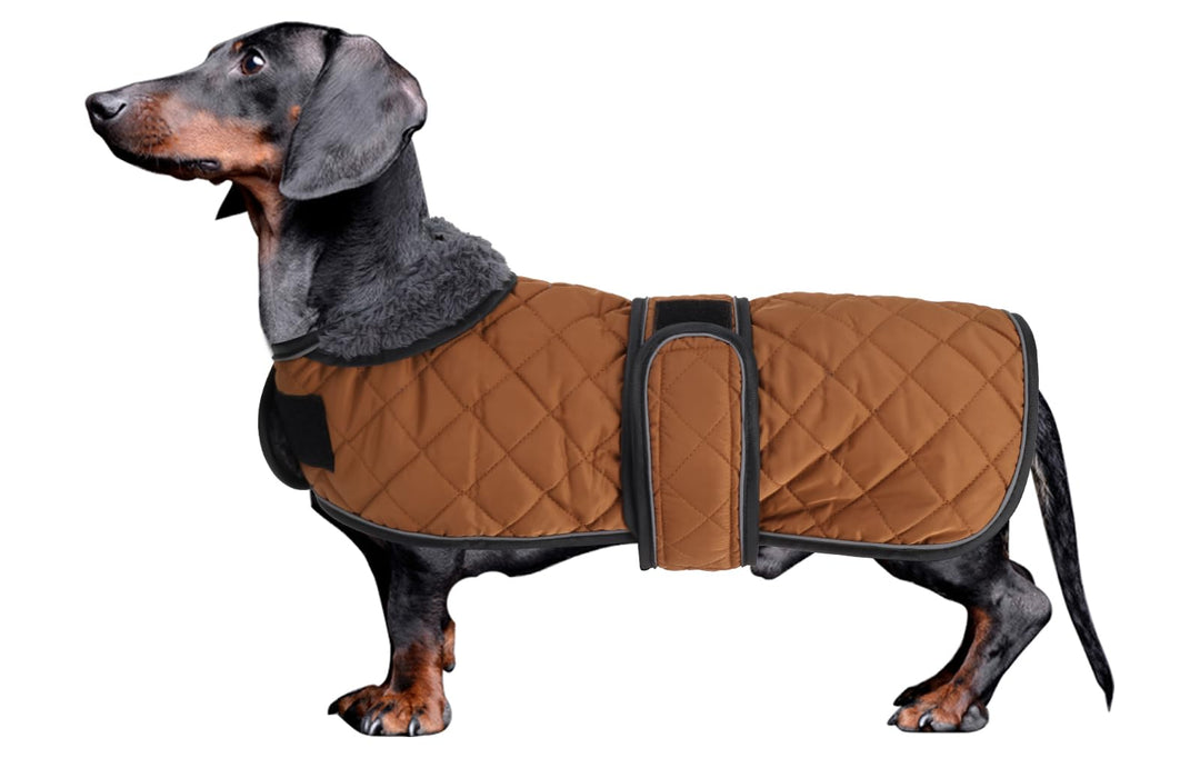 MOREZI Hundemantel Winter für Dackel - Wasserdichter Hunde Pullover mit Wolle Futter & Verstellbaren