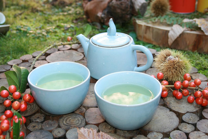 TEASOUL B6021249 Porzellan Teekanne mit 2 Tassen, 200 ml, blau