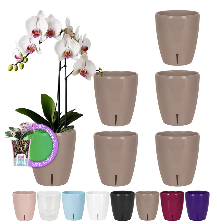 Santino 6er-Set Orchideentopf D 12cm Selbstbewässernder Topf mit Dochtsystem und Wasserstandsanzeige