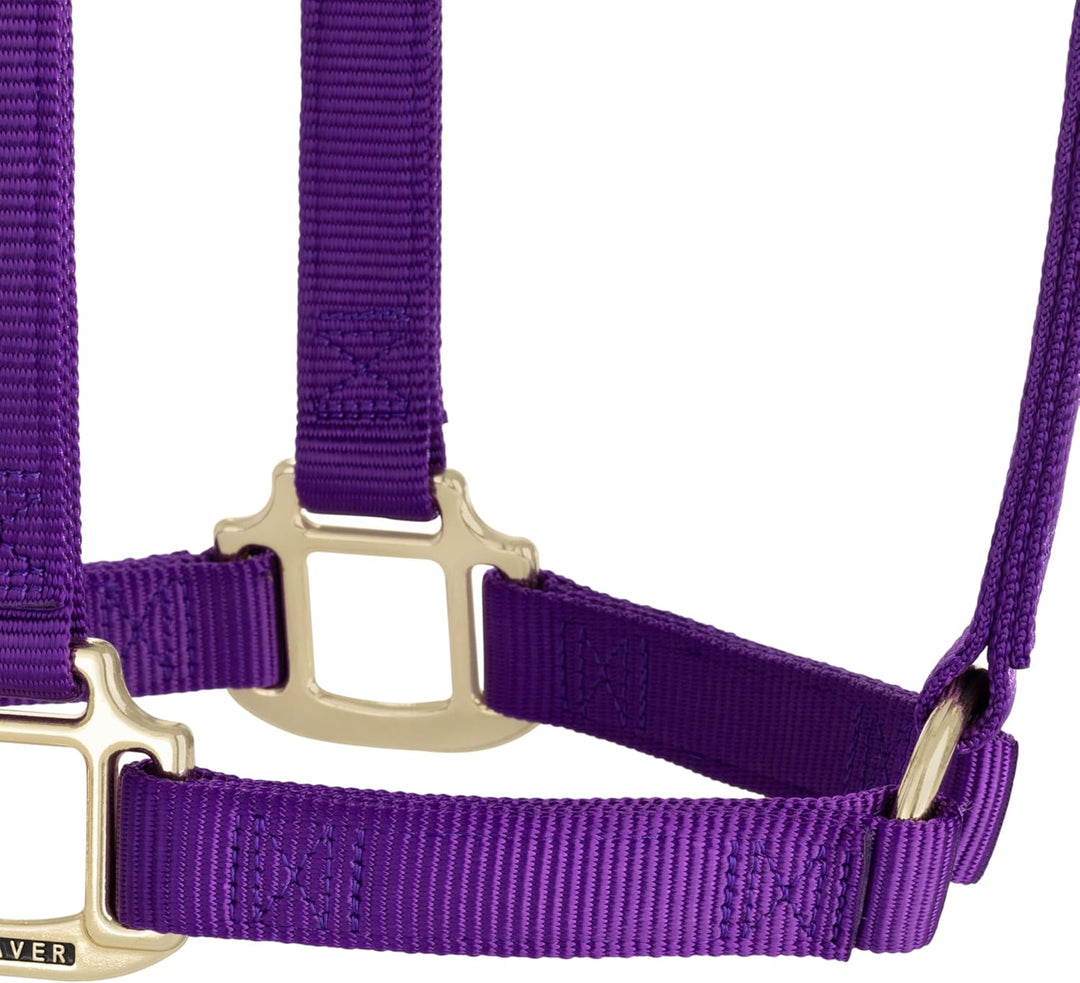 WEAVER Leather, Nicht verstellbares Halfter Violett Small Horse, Violett Small Horse