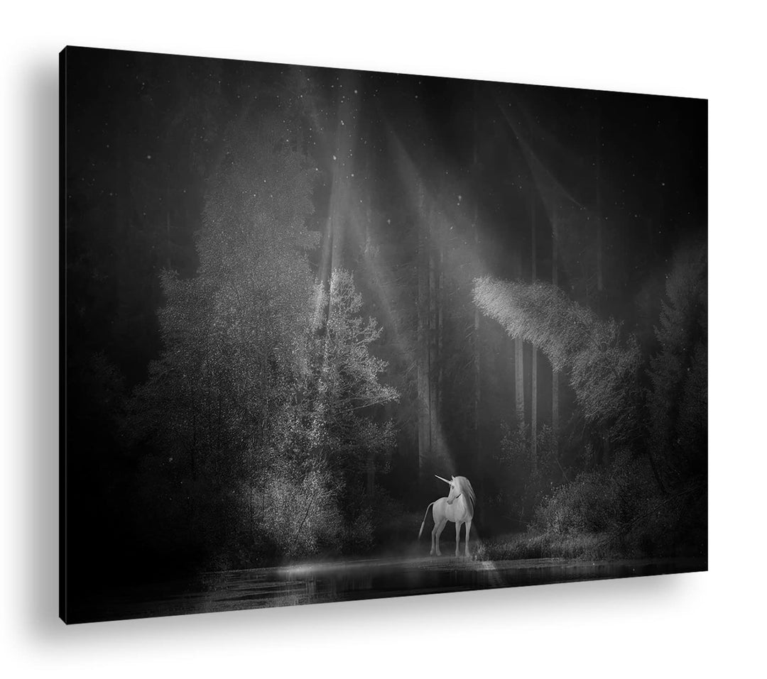 deyoli Einhorn auf einer Waldlichtung Format: 80x60 Effekt: Schwarz&amp;Weiss als Leinwandbild, Motiv fe