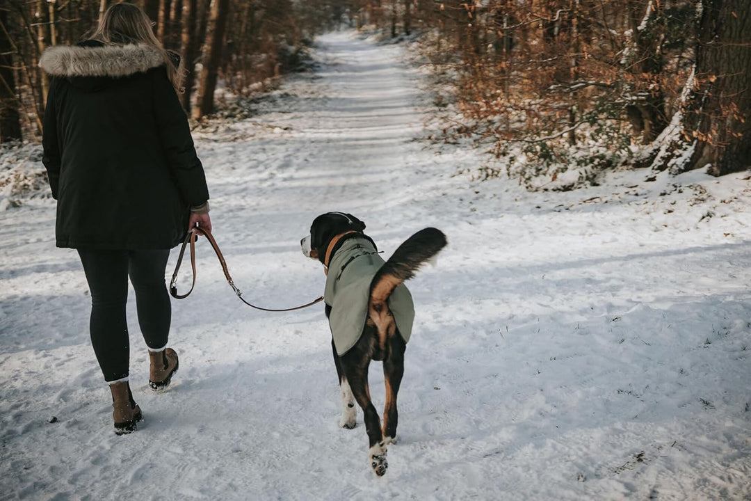 HUNTER Hundemantel Uppsala, Farbe: Khaki, 2in1 Design mit herausknüpfbarem Innenfutter, wasserabweis