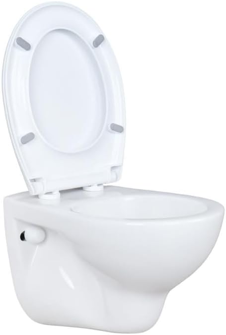 WC Toilette Hänge Wand WC (RosenStern) mit Soft-Close Deckel, Keramik