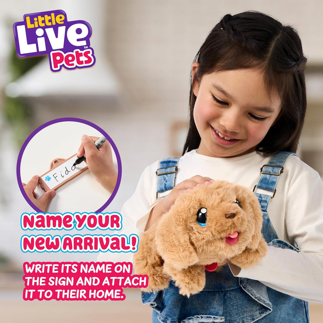 Little Live Pets – My Puppy&