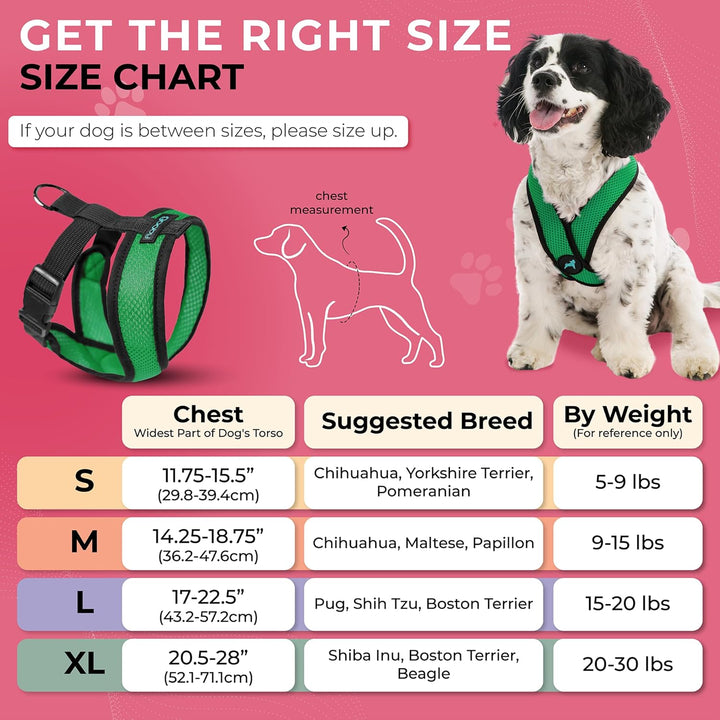 Gooby Comfort X Head In Harness,No Pull Small Dog Harness Patentierter Würgefreier X-Rahmen,Unterweg
