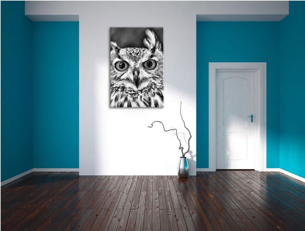 Pixxprint Monocrome, Eulen Kautz Orange Augen, Format: 100x70 auf Leinwand, 100x70