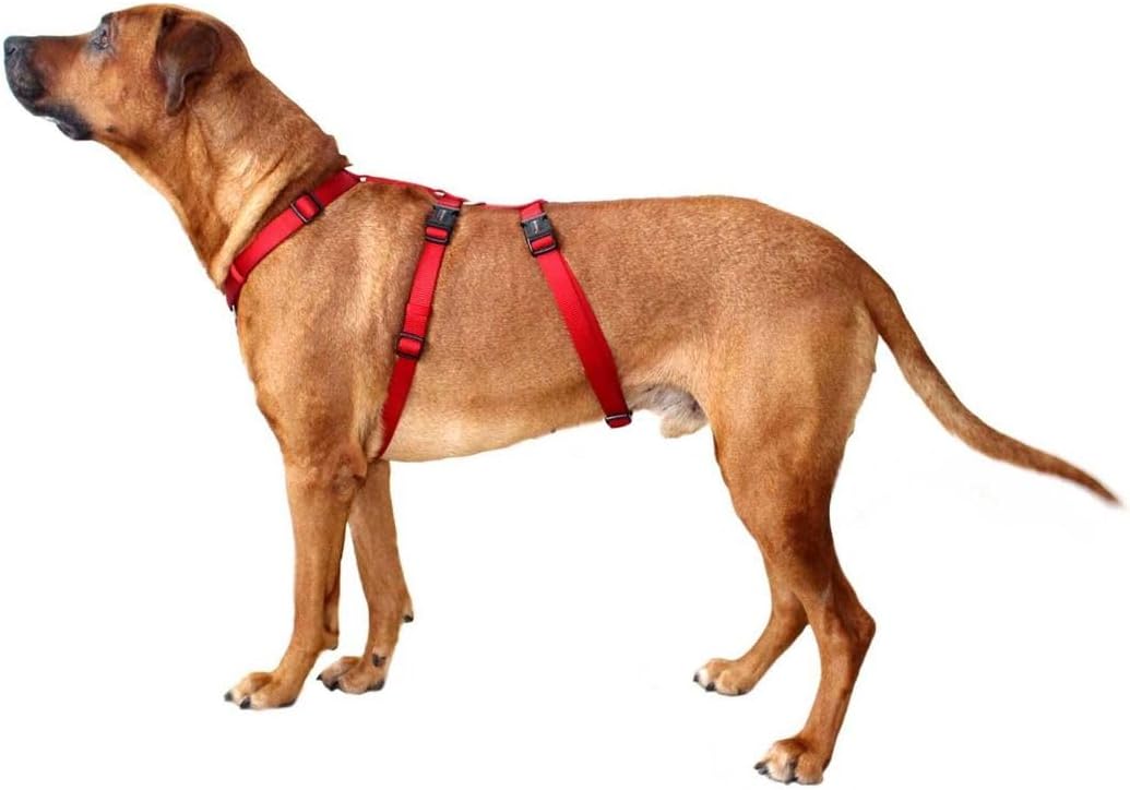 Hundegeschirr ausbruchsicher Professional No Escape, M: 40-50cm rot M 40 - 50 cm rot, M 40 - 50 cm r