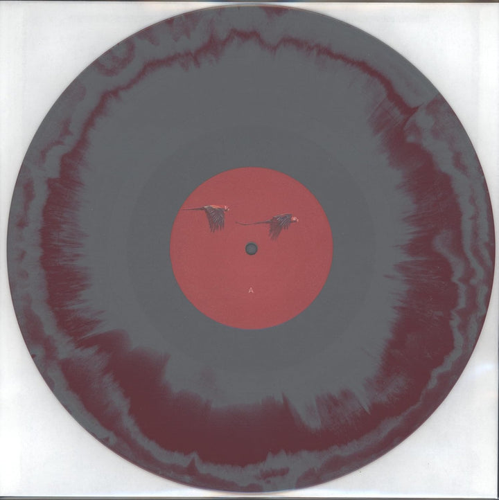 Gottes Synthesizer, Vinyl