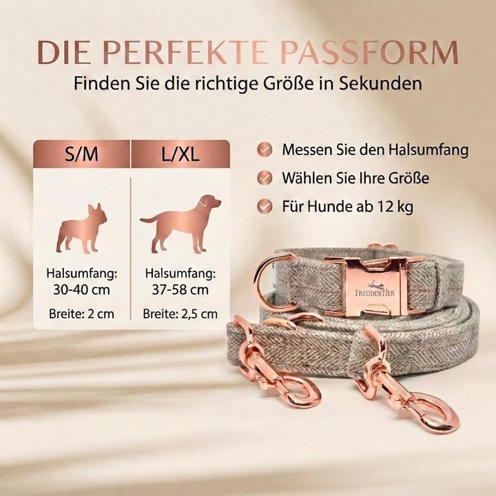 FREUDENTIER® Hundehalsband und Hundeleine im eleganten Set - 2m Leine, 3-Fach verstellbar - Robust &