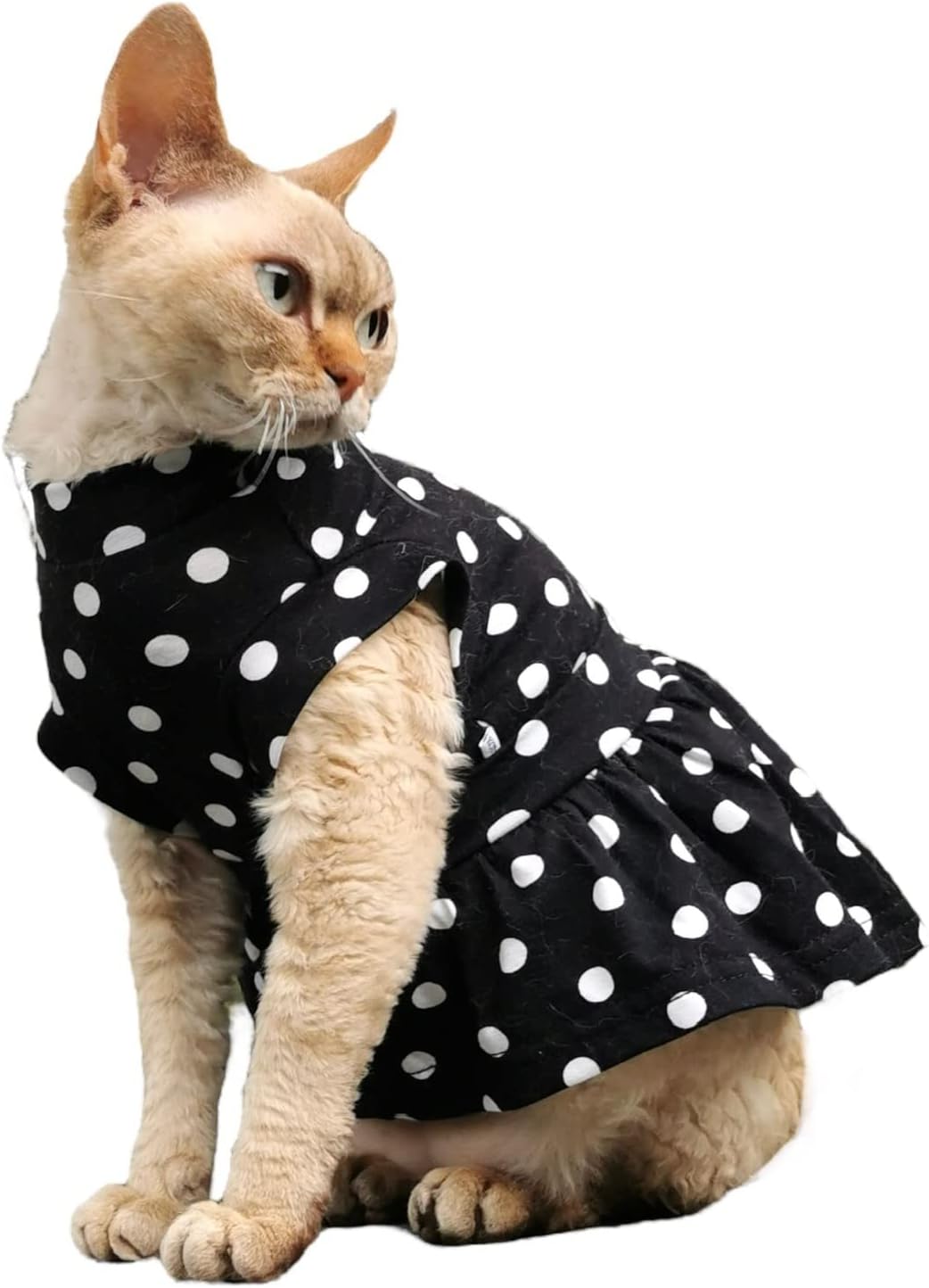 Kotomoda Katzen Kleid Polka-Dot Sphynx Katzen (S), S