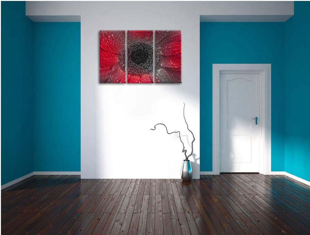 Pixxprint Rote Gerbera mit Wassertropfen als Leinwandbild | Grösse: 3 Teilig (120x80) | Wandbild| Ku