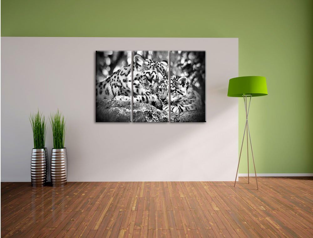 Pixxprint Leopard mit Jungtier als Leinwandbild/Grösse: 3 Teilig (120x80) / Wandbild/Kunstdruck/fert