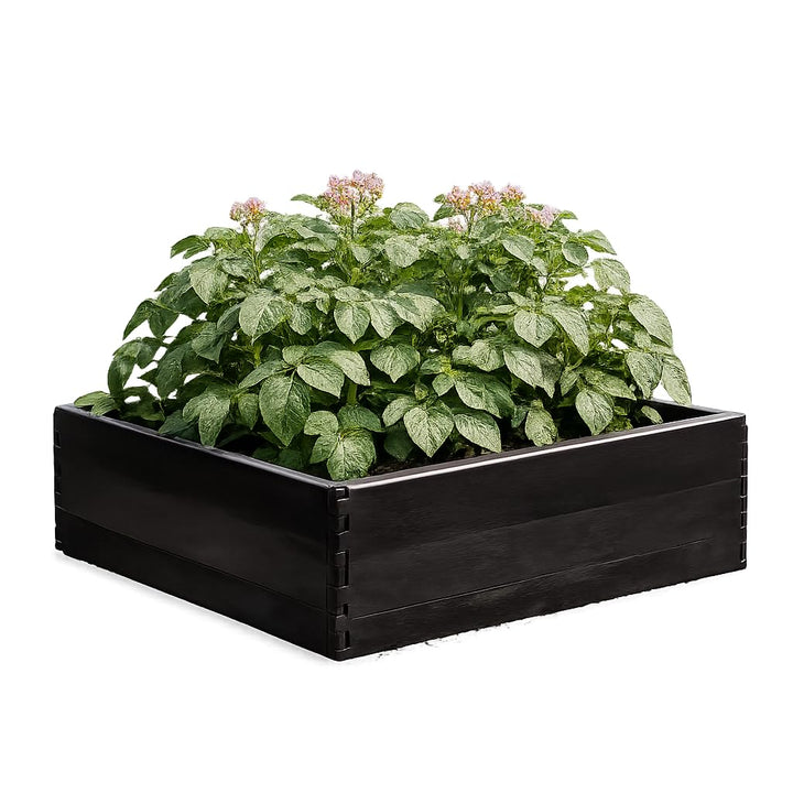 Garland Erhöhtes Gemüsebeet, 97,5 x 97,5 x 25 cm, Schwarz