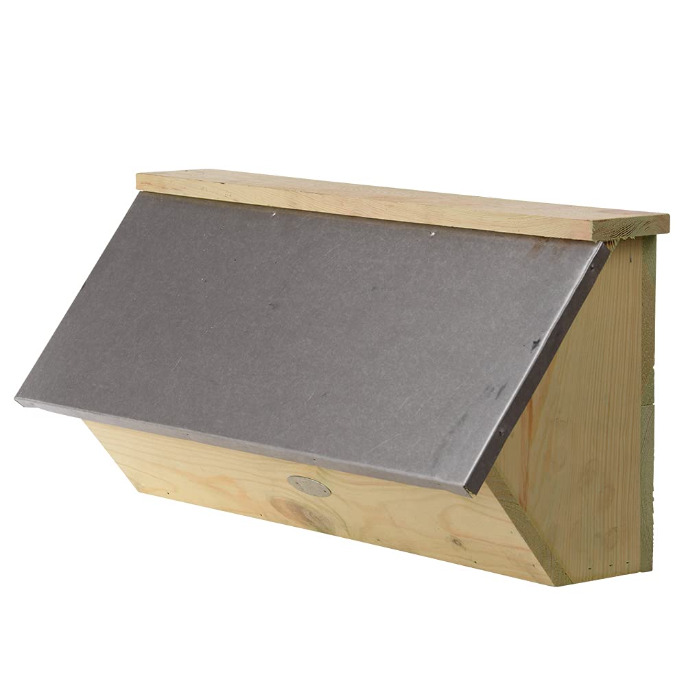 Swift Nest Box Tierschutz, Tierschutz