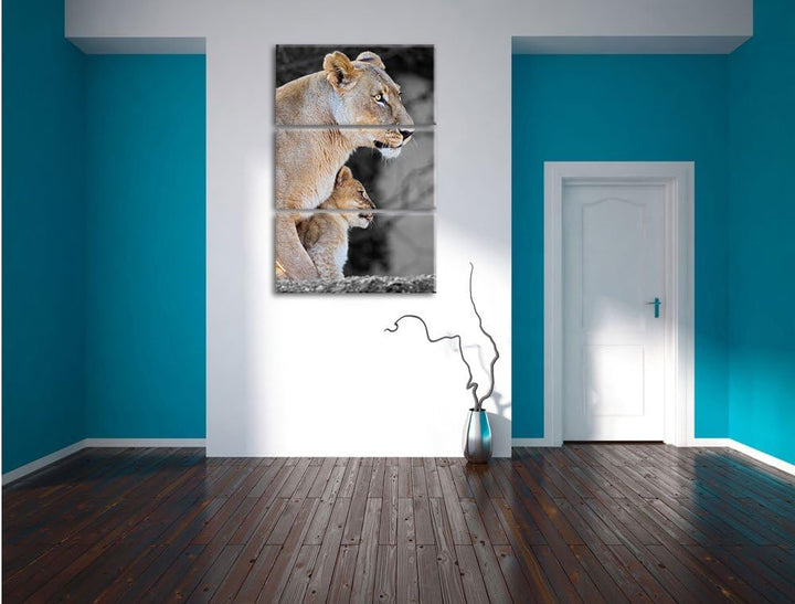 Pixxprint Löwenmutter mit Jungtier als Leinwandbild/Grösse: 3 Teilig (120x80) cm/Wandbild/Kunstdruck