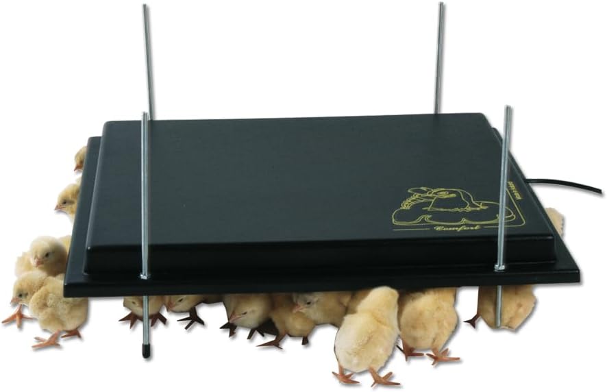 Comfort Wärmeplatte 40x60cm für Küken, 56W/ 220-240V