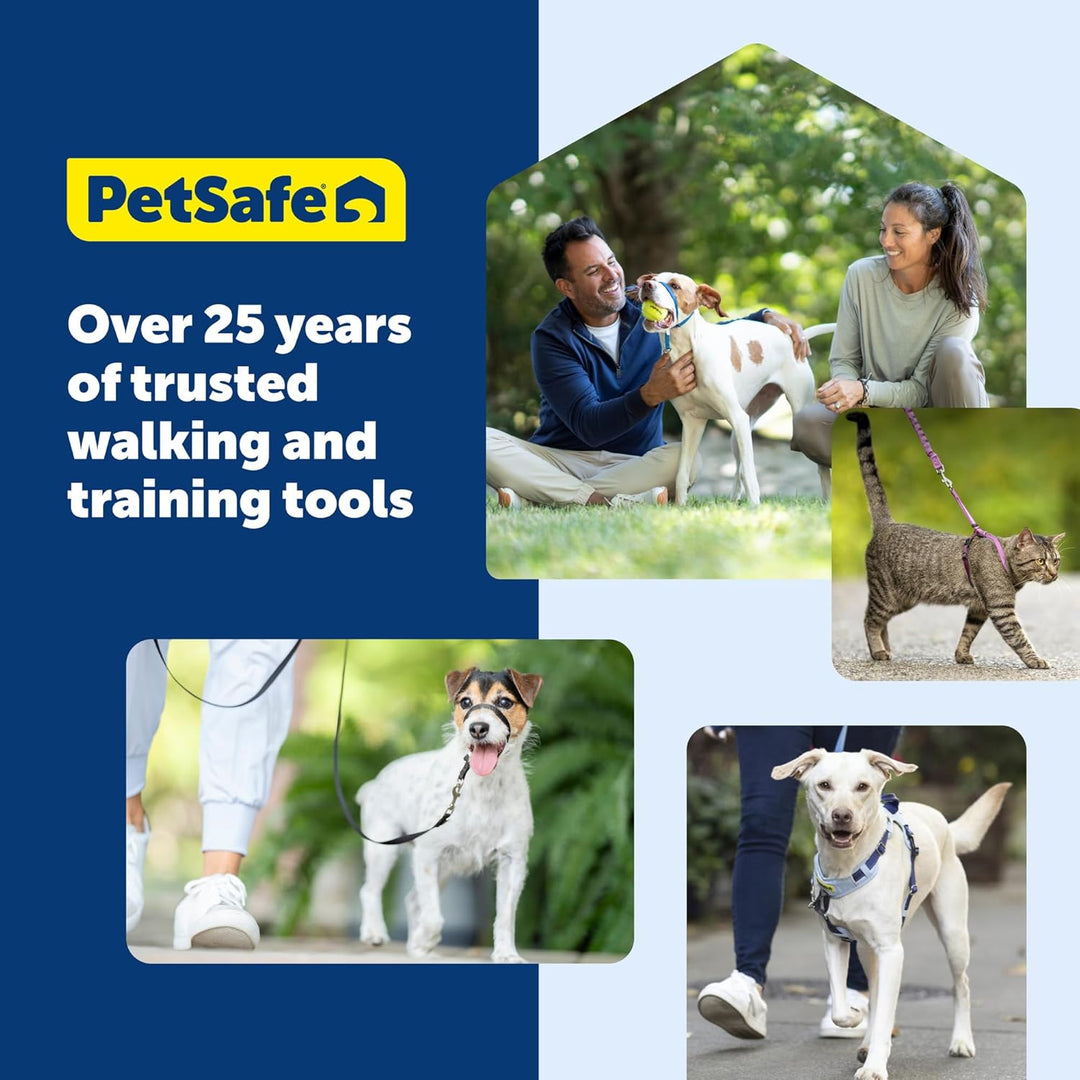 PetSafe Deluxe Easy Walk Hundegeschirr