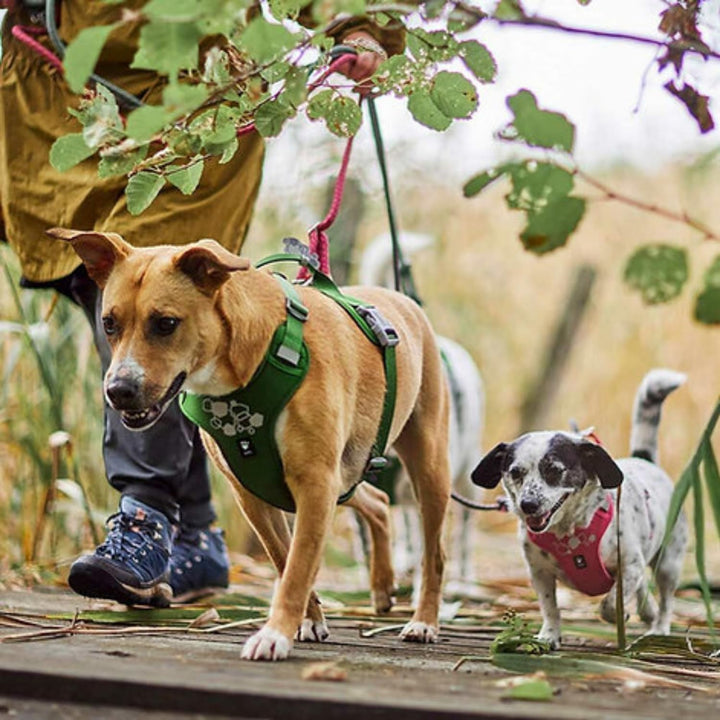 Hurtta Weekend Warrior Hundegeschirr II ECO (Peacock, türkis, 65-80 cm) peacock, türkis 65-80 cm, pe