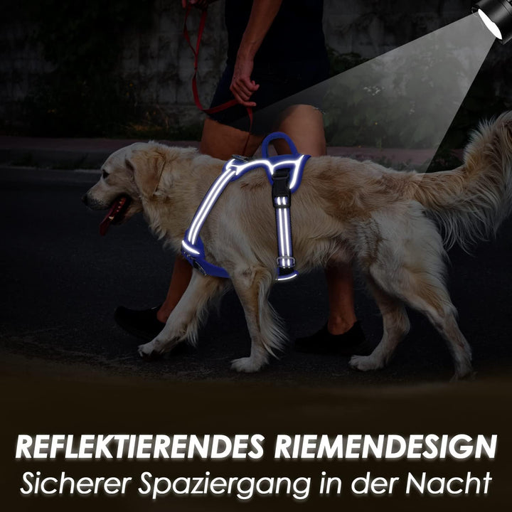 Hundegeschirr für Mittelgrosser Hunde, Anti Zug Brustgeschirr mit 2 Leinenclips und leicht zu bedien