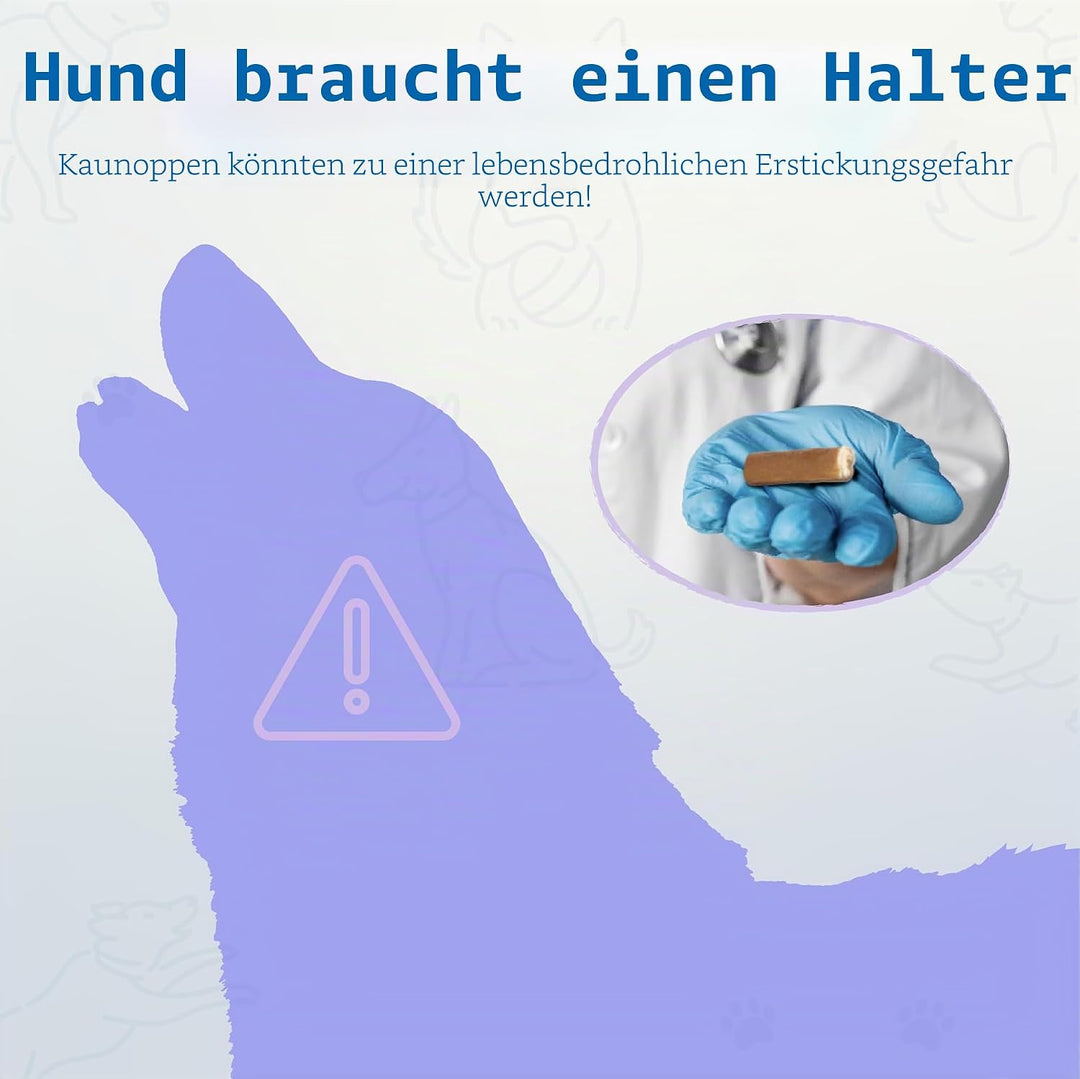 PetClan Chewise Bully Stick Halter – Sicherheit & Robustes Design, BPA-frei, Sicherer Ochsenziemer-H