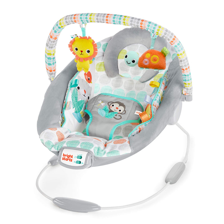 Bright Starts, vibrierende Wippe, Whimsical