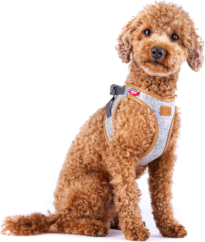 Alpine curli Clasp Vest Harness Light Gray 3XS XXXS, XXXS