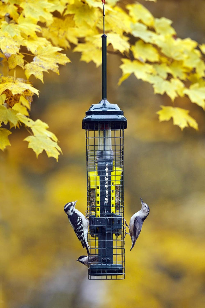 Squirrel Buster Talg Eichhörnchensicher Talg Vogelfutterstation mit Zwei Talgkuchenschalen, Zwei Krü