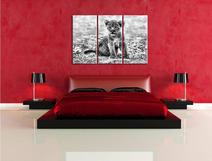 Pixxprint Verlassenes Löwenbaby als Leinwandbild/Grösse: 3 Teilig (120x80) cm/Wandbild/Kunstdruck/fe