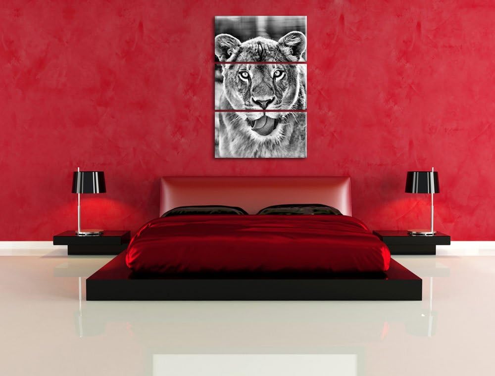 Pixxprint Monocrome, schöne Löwin 3-Teiler Leinwandbild 120x80 Bild auf Leinwand