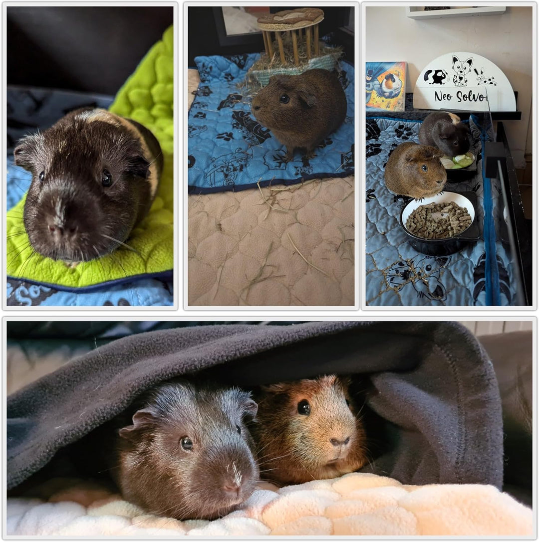 NEO SOLVO 2 Stück Käfigeinlage für Kaninchen und Meerschweinchen - perfekte Einstreu für Innenkäfige