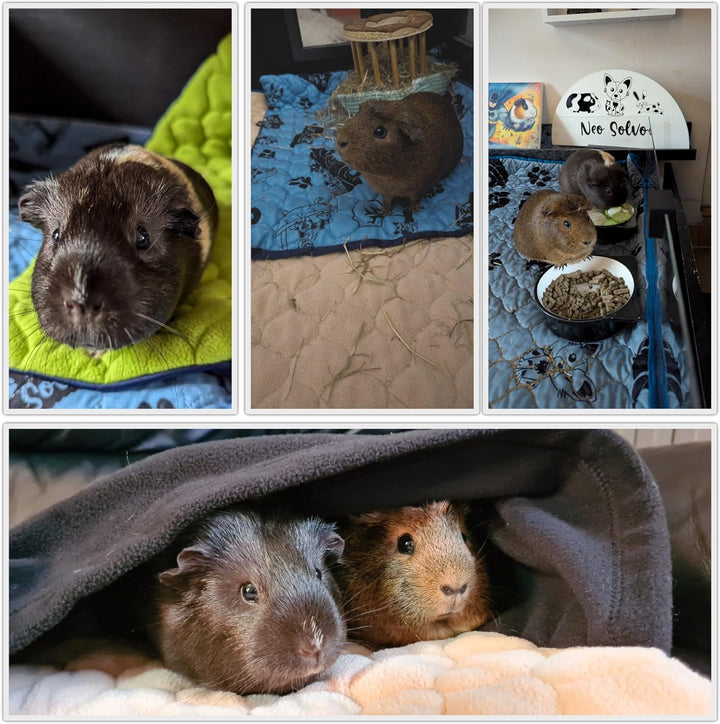 NEO SOLVO 2 Stück Käfigeinlage für Kaninchen und Meerschweinchen - perfekte Einstreu für Innenkäfige
