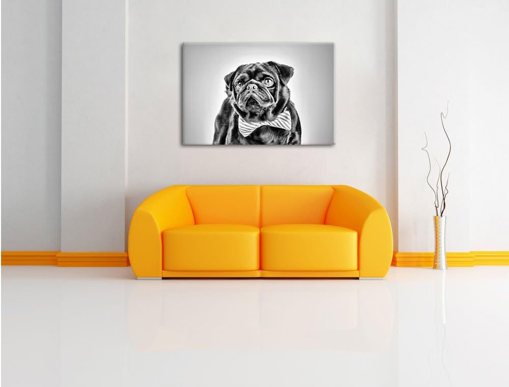 Pixxprint Lustiger Mops mit Fliege als Leinwandbild/Grösse: 100x70 / Wandbild/Kunstdruck/fertig besp