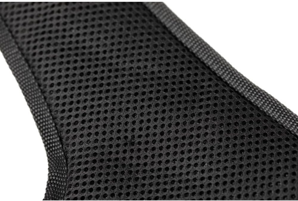 PetSafe EasySport Hundegeschirr, Komplett gepolstert mit elastischem Halsteil, Für Hunde von 29,5-36