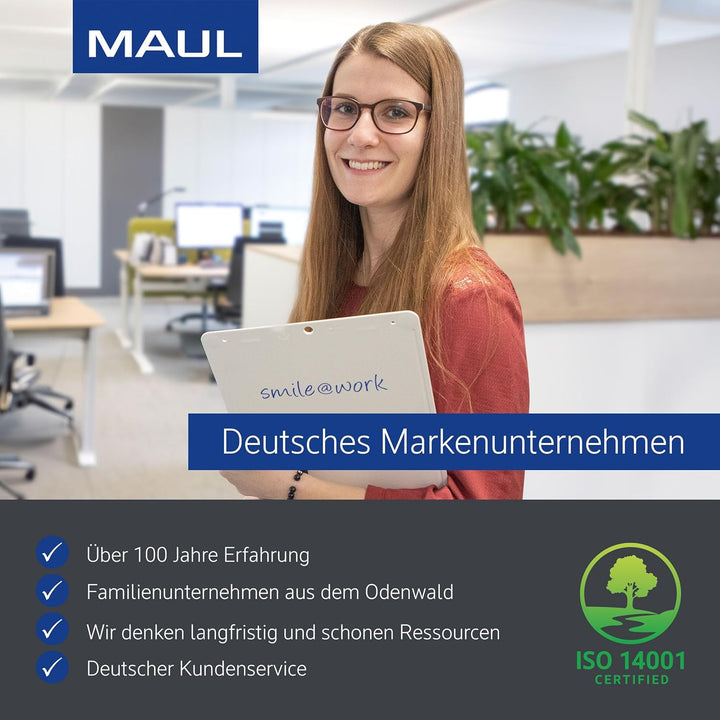 MAUL Geldkassette mit Zähleinsatz aus Stahl | abschliessbar | herausnehmbarer Einsatz | tragbare Kas