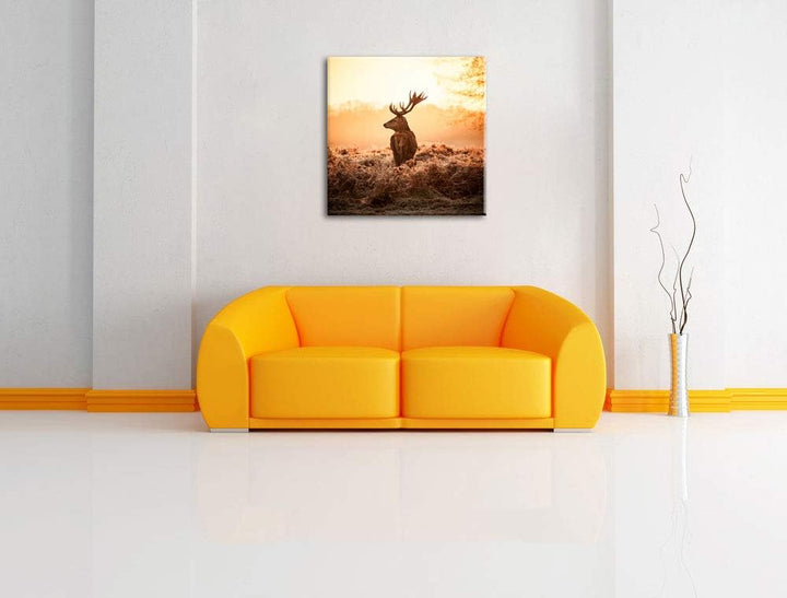 Pixxprint Stolzer Hirsch, Format: 70x70 auf Leinwand, XXL riesige Bilder fertig gerahmt mit Keilrahm