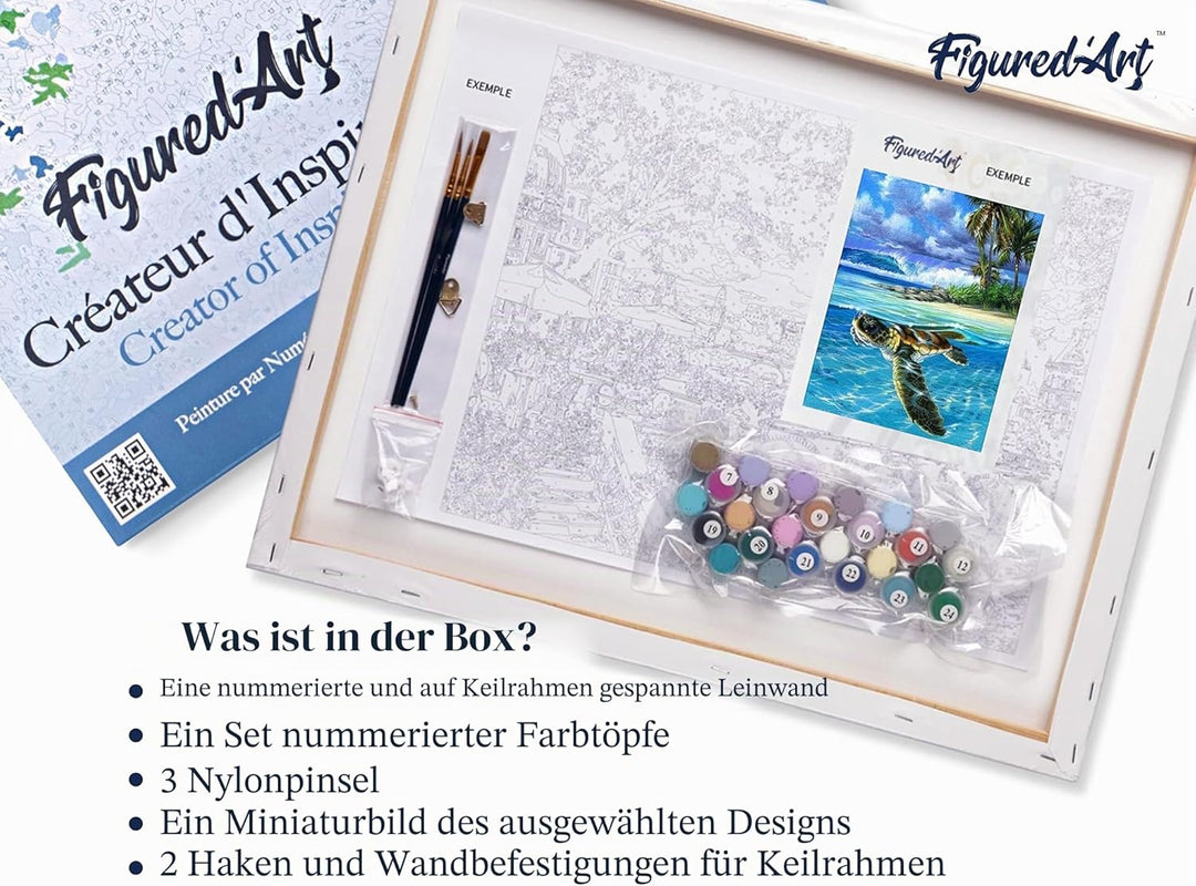 Figured'Art Malen Nach Zahlen Erwachsene Mit Rahmen Notre Dame unter den Sternen - Paint by Numbers
