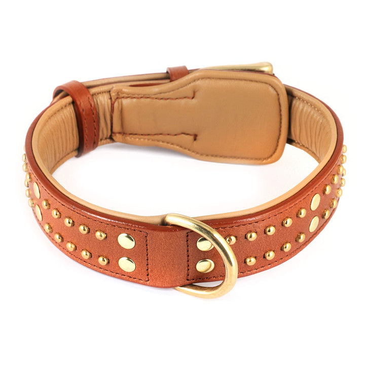Monkimau Halsband für Hunde aus echt Leder mit Nieten gepolstert verstellbar M 35-40 cm S-M: 35mm x
