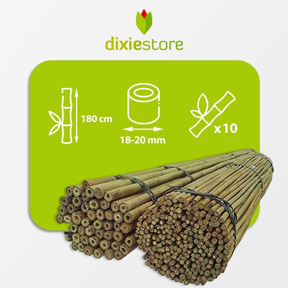 Dixiestore Bambusstäbe - Bambusstangen Set Blumenstützen - Robuste Pflanzenstäben aus Bambus 180 cm