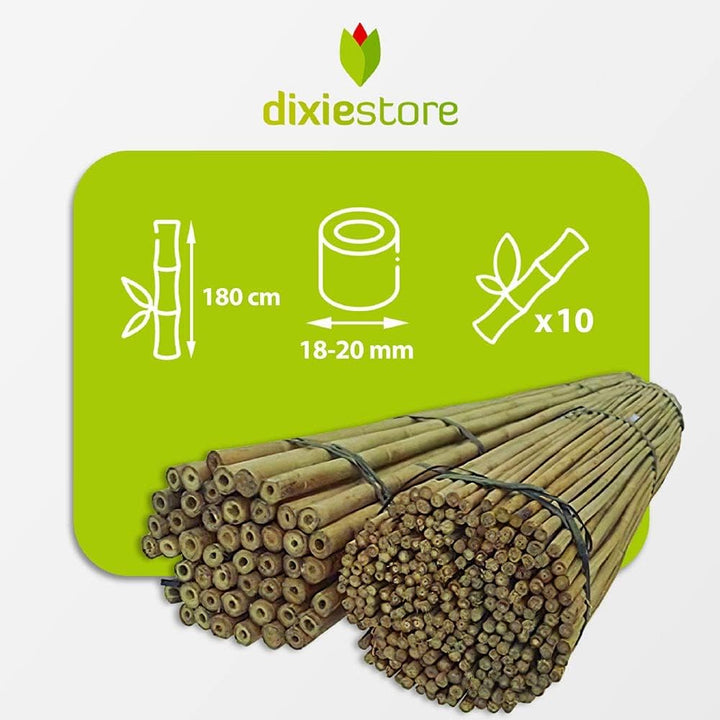 Dixiestore Bambusstäbe - Bambusstangen Set Blumenstützen - Robuste Pflanzenstäben aus Bambus 180 cm