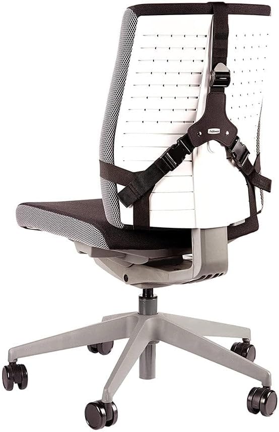 Fellowes Professional Series Profi Rückenstütze mit Memory Foam, schwarz, Professional Series Profi