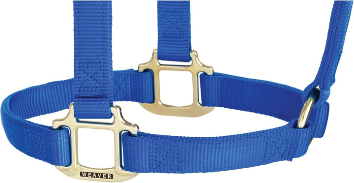 Weaver Leather, nicht verstellbares Halfter Blau Large Horse, Blau Large Horse